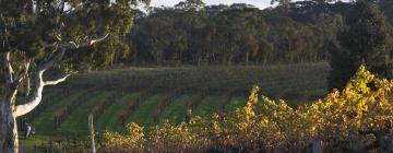 Hotéis de Luxo em Barossa Valley