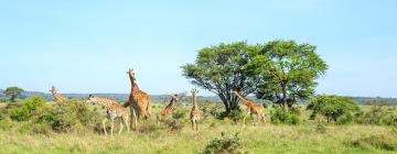 Готелі в регіоні Nairobi National Park