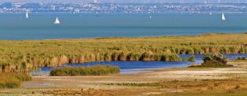 โรงแรมในNeusiedler See-Seewinkel National Park