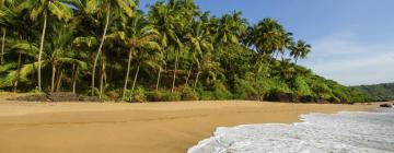 Resorts en Goa del Sur