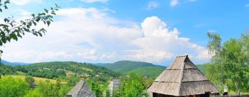 Planinske kuće u regiji 'Zlatibor'