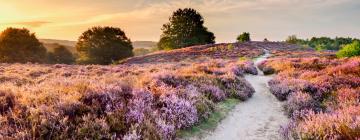 Hotels in Nationaal Park De Hoge Veluwe