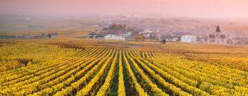 5-Star Hotels in Champagne