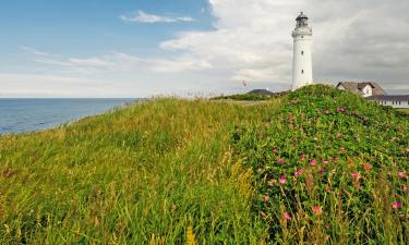 Hoteller i Nordjylland