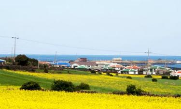 Hotéis em: Ilha de Jeju