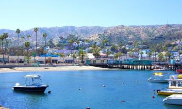 Hoteles en Isla de Santa Catalina