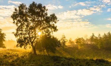 Hoteller i Noord-Limburg