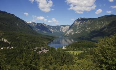 Tradicionalne kućice u regiji 'Bohinj'