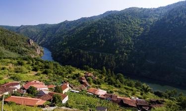 Casas de huéspedes en Ourense