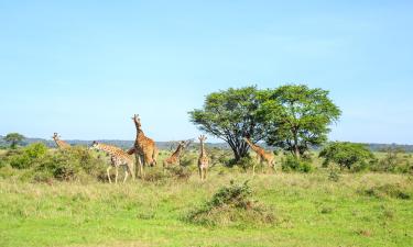 Hoteli u regiji 'Nairobi National Park'