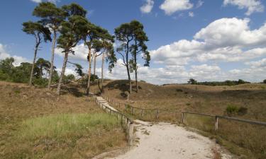 Khách sạn ở Gelderland