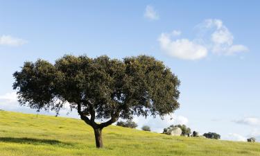 Hotels in Alentejo