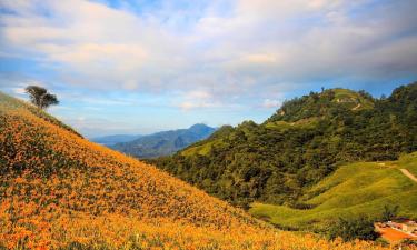 فنادق في Hualien County