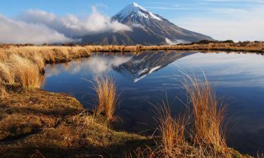 Pet-Friendly Hotels in Taranaki