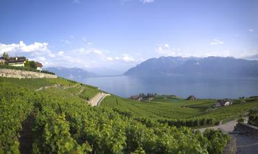 хотели Ibis в района на Lake Geneva