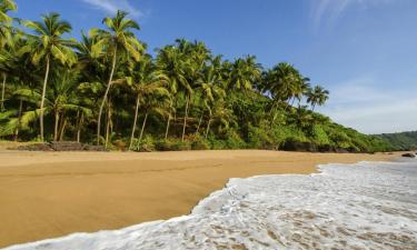 Mga resort sa South Goa