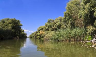 Гостьові будинки в регіоні Danube Delta