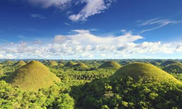 Hotels barats a Bohol