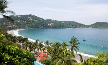 Pet-Friendly Hotels in Ixtapa-Zihuatanejo