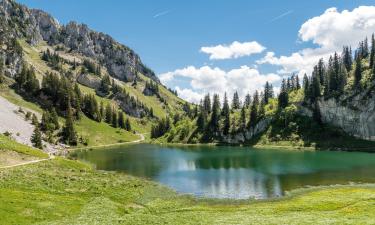 Chalets dans cette région : Alpes françaises