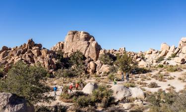 Hotellid regioonis Joshua Tree National Park