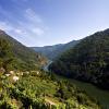 โรงแรมในRibeira Sacra