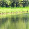 Hoteles Ibis en Île-de-France