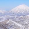 Vandrehjem i Niseko Ski