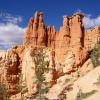 Pet-Friendly Hotels in Bryce Canyon National Park 