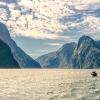 Hotel di Fiordland National Park