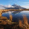 Hotel Mesra Haiwan Peliharaan di Taranaki