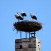 Hoteles en Burgenland