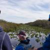 Hotéis em: Everglades National Park