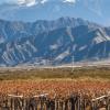 Glamping Sites in Mendoza Province