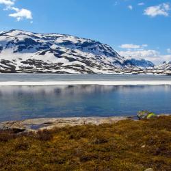 Haukelifjell 19 holiday rentals