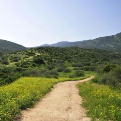 Upper Galilee 116 víl