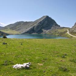 Asturia 3649 obiektów na wynajem sezonowy