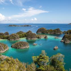 Raja Ampat