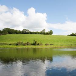 Cavan County 11 četrzvaigžņu viesnīcas