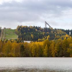 Laajavuori 18 cottages