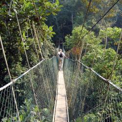 Taman Negara 9 vacation rentals