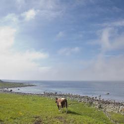 Jæren 7 holiday rentals