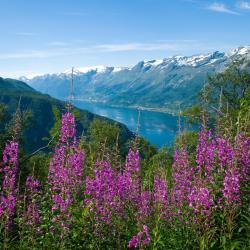 Hardanger