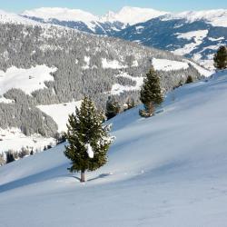 Zillertal