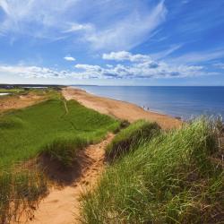 Prince Edward Island Užmiesčio svečių namai (15)