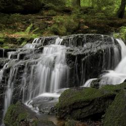 Oberpfälzer Wald