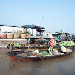 Mekong Delta