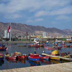 Antofagasta 26 Lodges