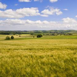 Aberdeenshire