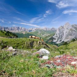 Pyrénées